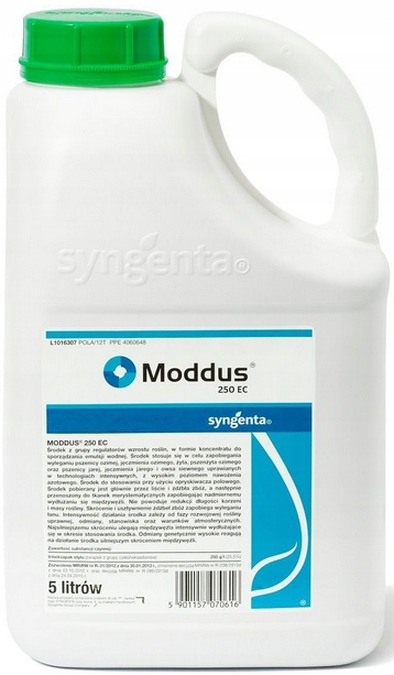 

Moddus 250EC 5L Regulator Wzrostu Antywylegacz