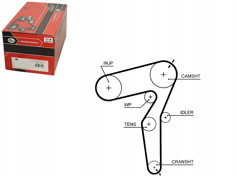 Rozvodový Řemen Gates 55192896 93185336 5636463