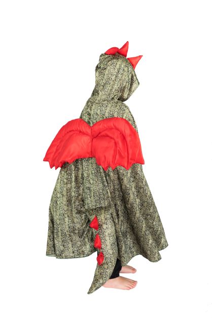 Smok strój Smoka Motyw Zwierzak