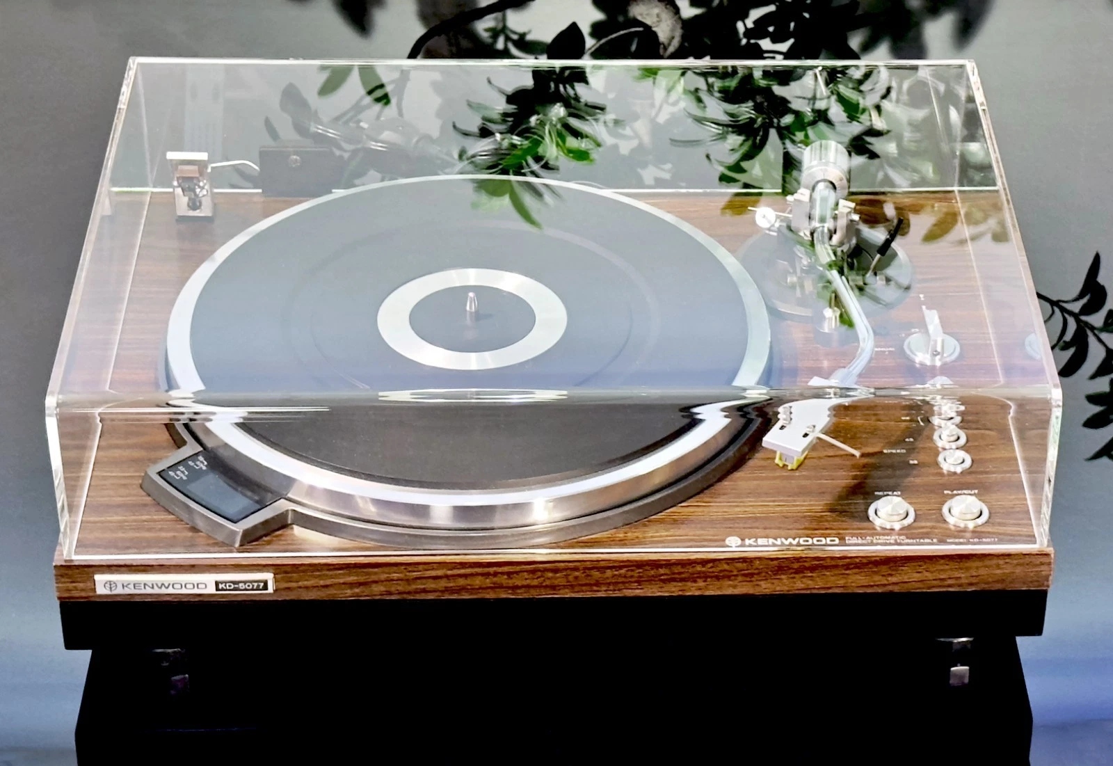 KENWOOD KD-5077 gramofon Full Automatic Direct Drive • Cena, Opinie ...