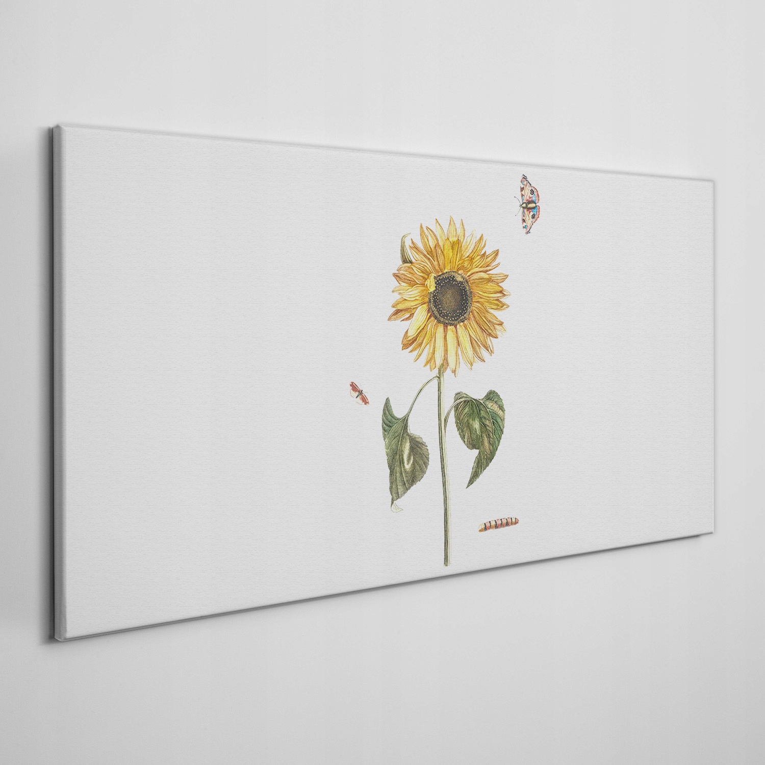 

Obraz ścienny na płótnie Kwiaty rośliny 140x70 cm