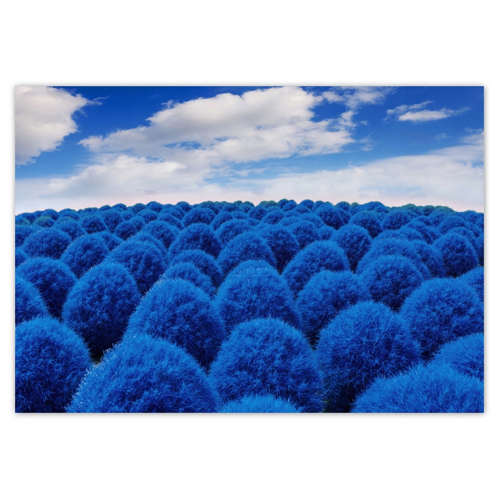 

Fototapety flizelina 416x290 Classic Blue