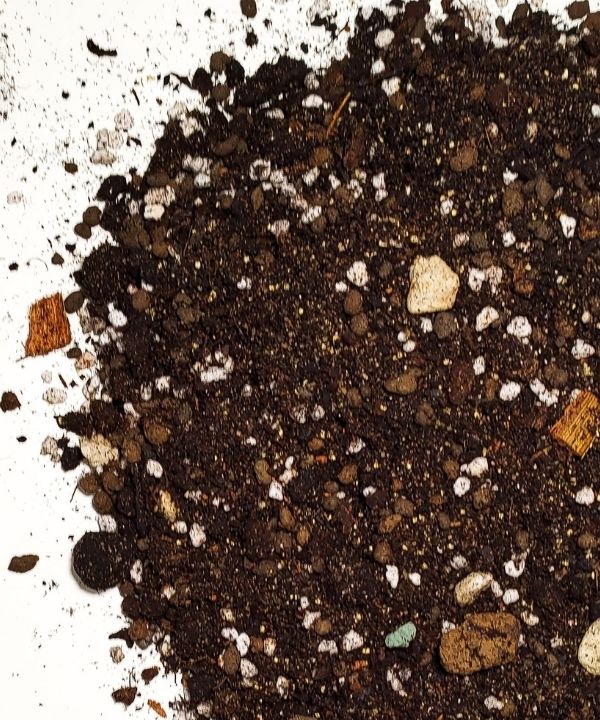 Podłoże do sukulentów Premium