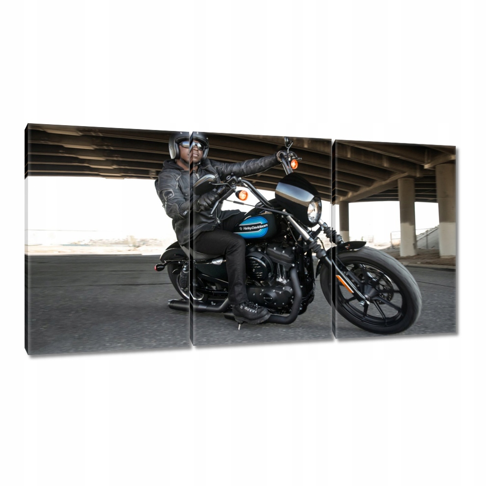 

Obrazy 120x60 Harley Davidson Motocykl
