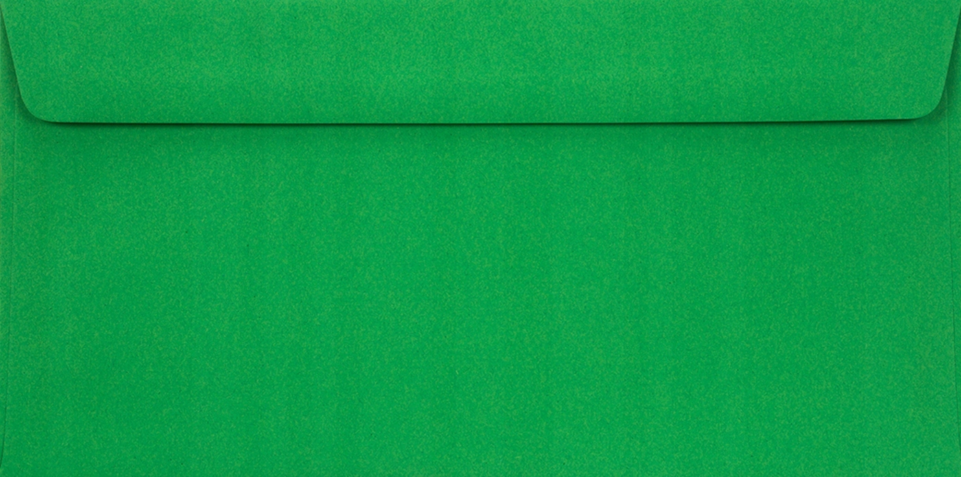 

Koperty DL Burano Verde Bandiera zielone 25szt.