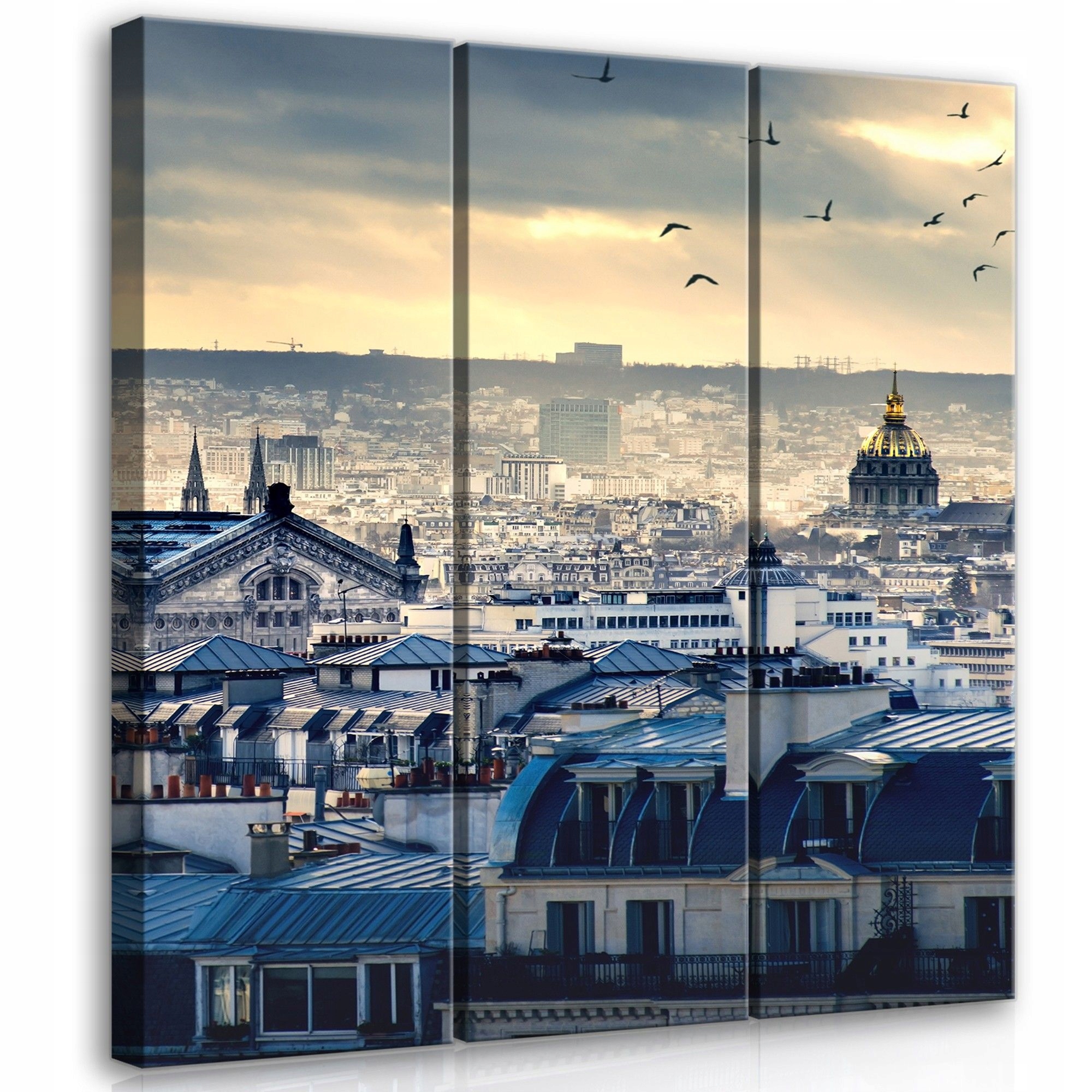 Obraz 90x100 Paříž střechy krajina mraky slunce ptáci Evropa panorama triptych