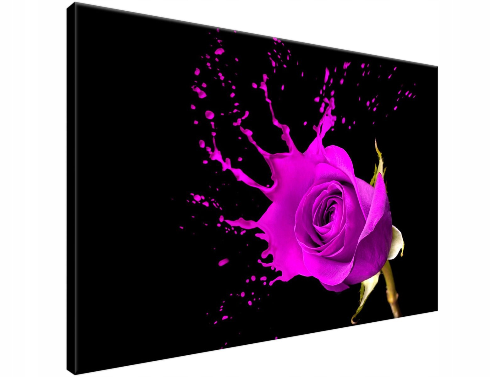 

Obraz drukowany Plusk 90x60 producent