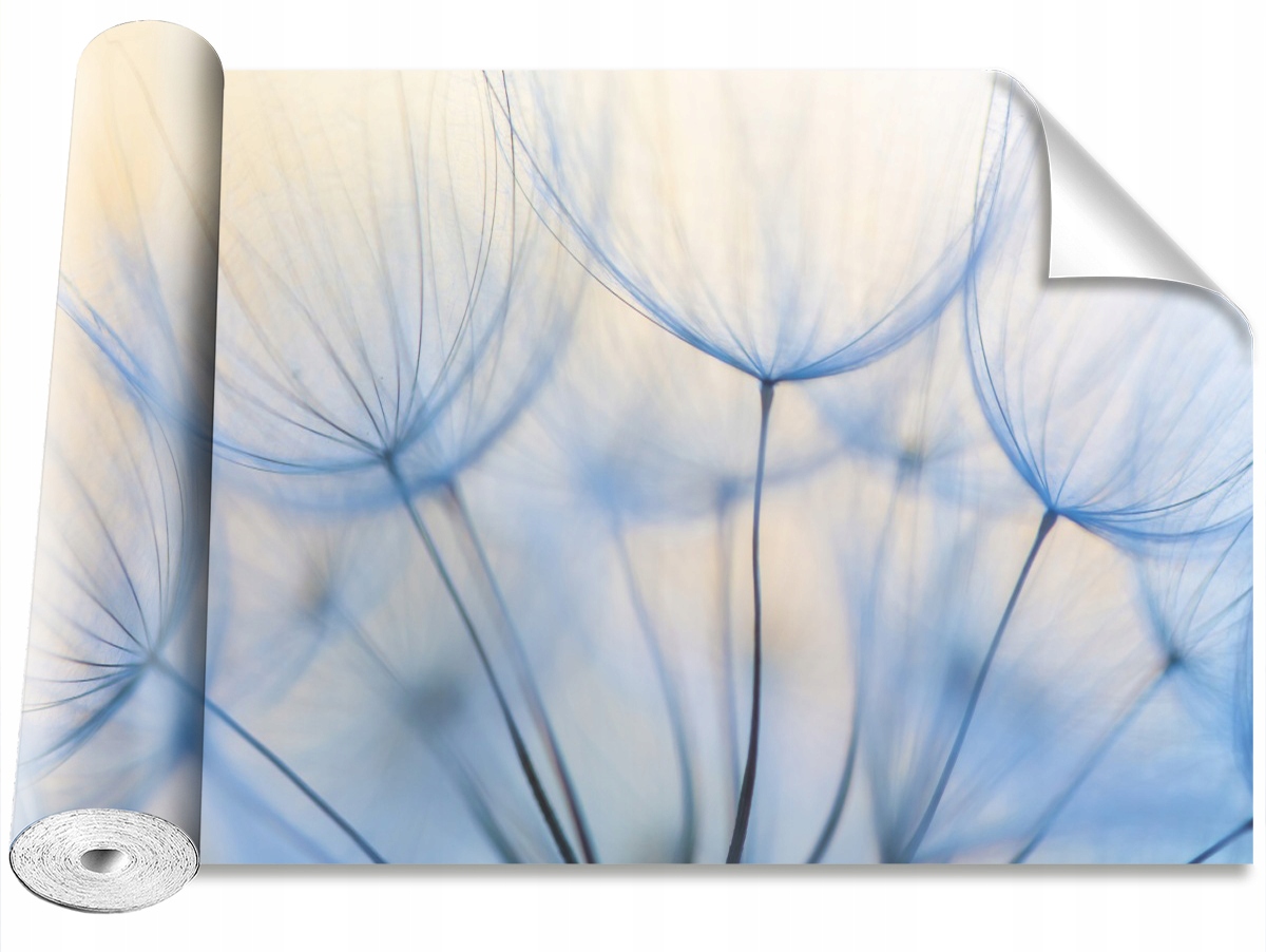 

Tapeta Samoprzylepna Dmuchawiec 416x254