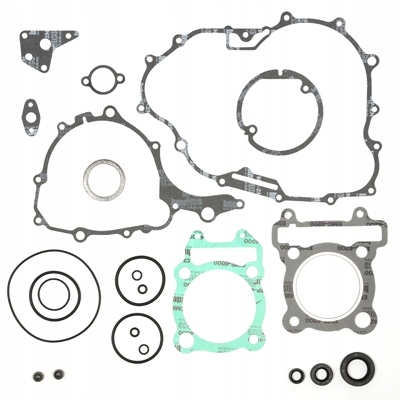 Prox Tesnenia Motora S Tesniacimi Prvkami Yamaha Yfm 250 R Raptor 08-13