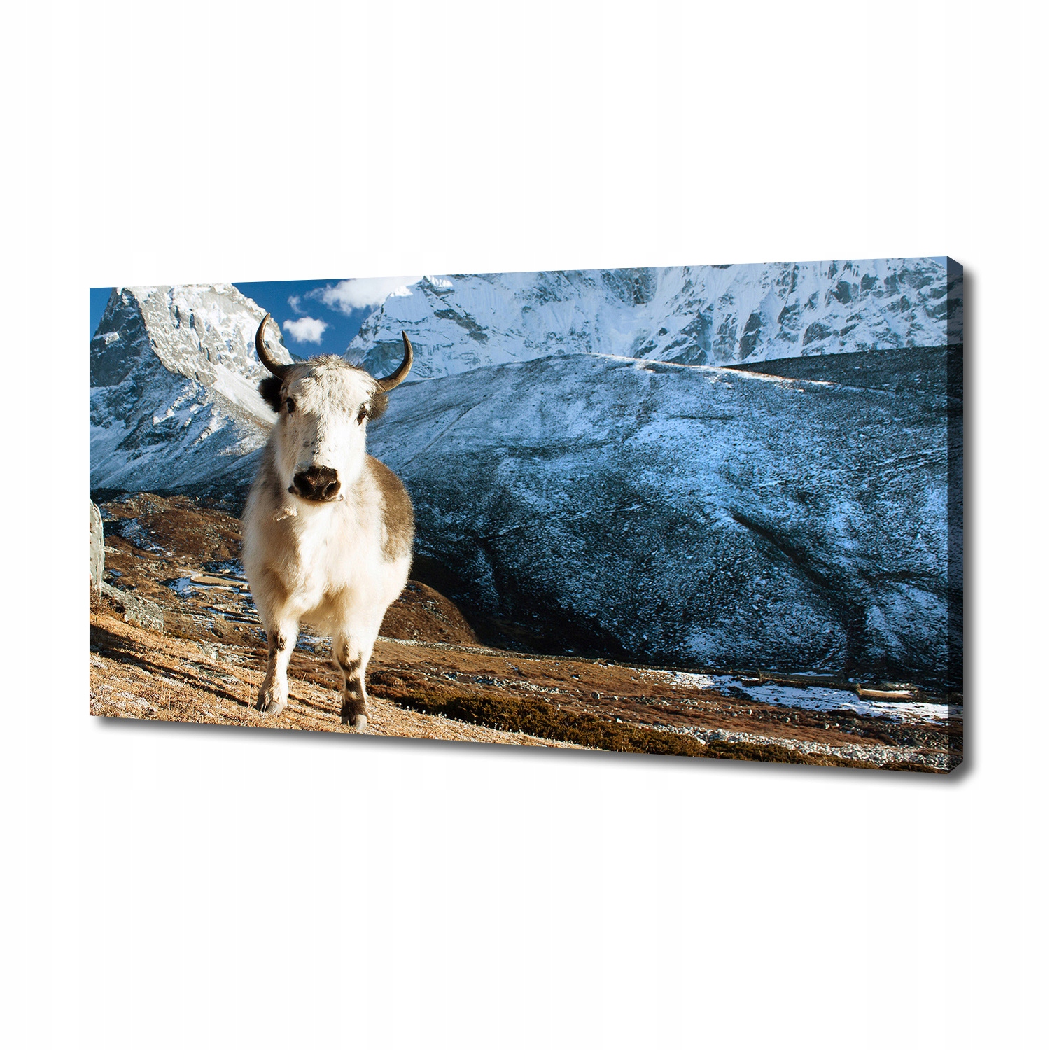 

Foto obraz canvas na ścianę Jak góry 140x70 cm
