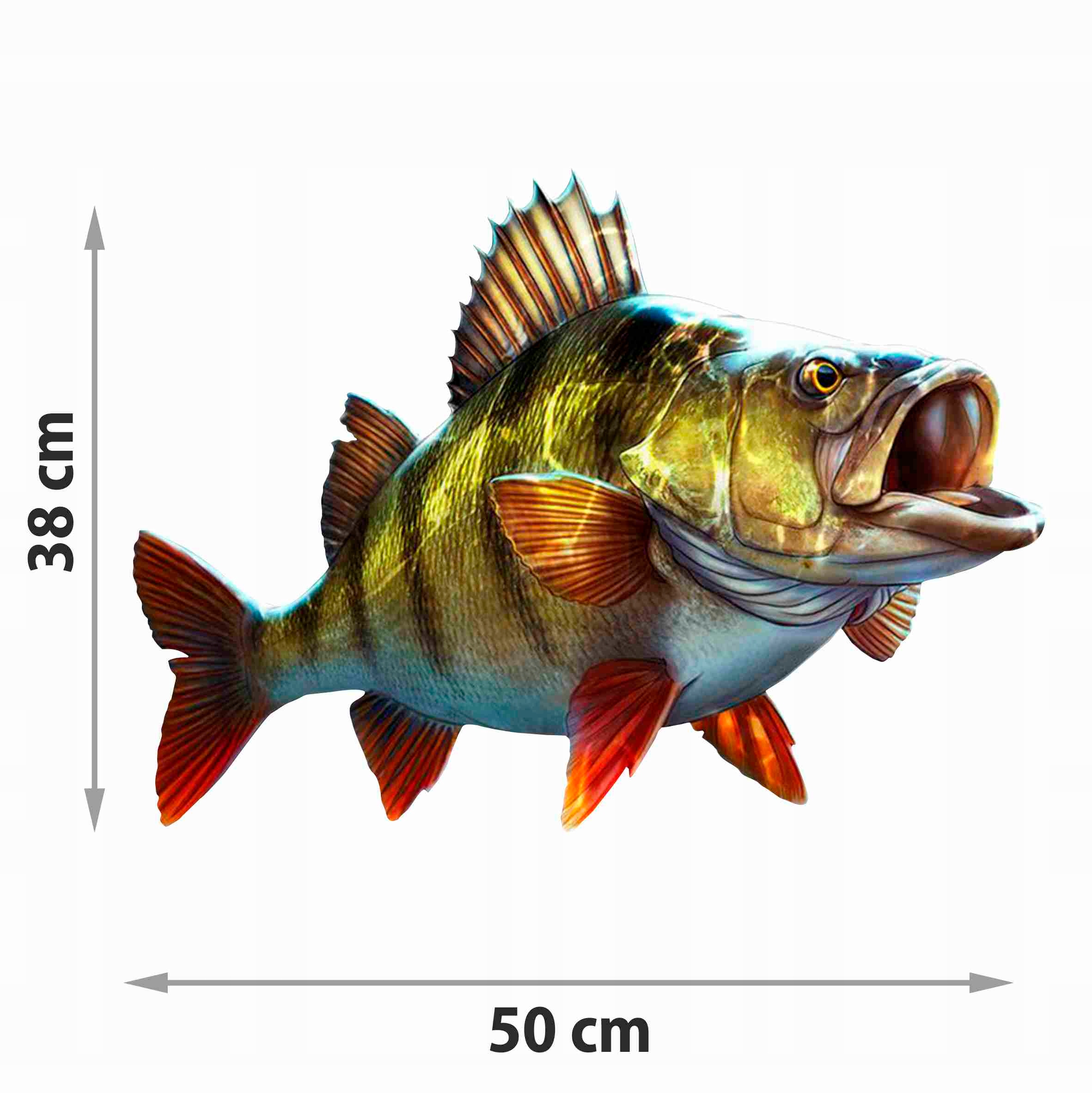 

Naklejka Okoń Ryby Na Łódkę Auto 50 cm