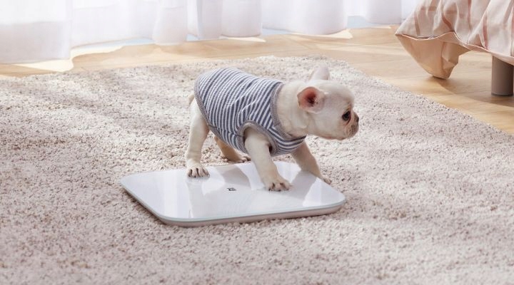 INTELIGENTNA WAGA ŁAZIENKOWA XIAOMI SMART SCALE 2 Materiał platformy szkło