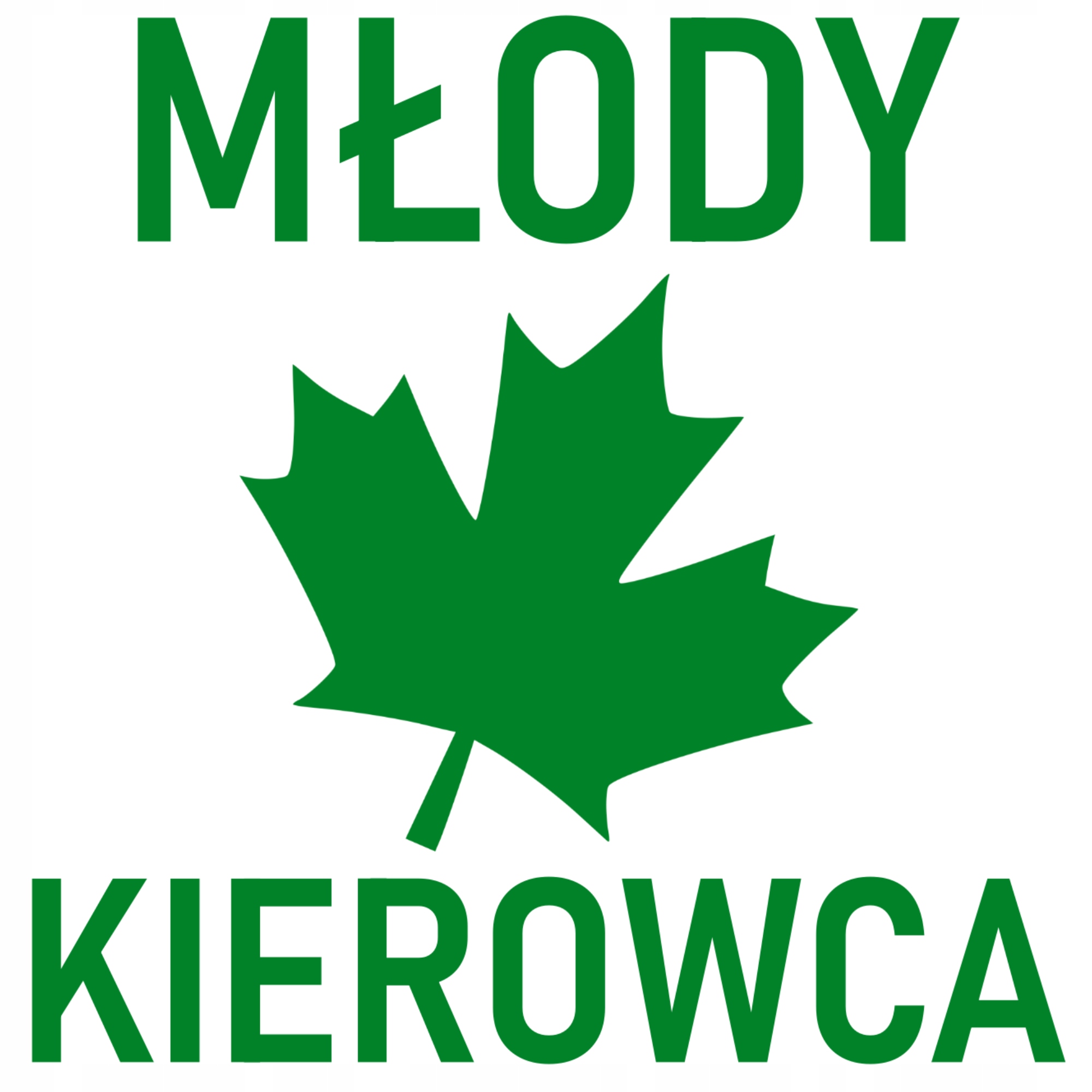 

Naklejka na samochód Zielony Liść Młody Kierowca