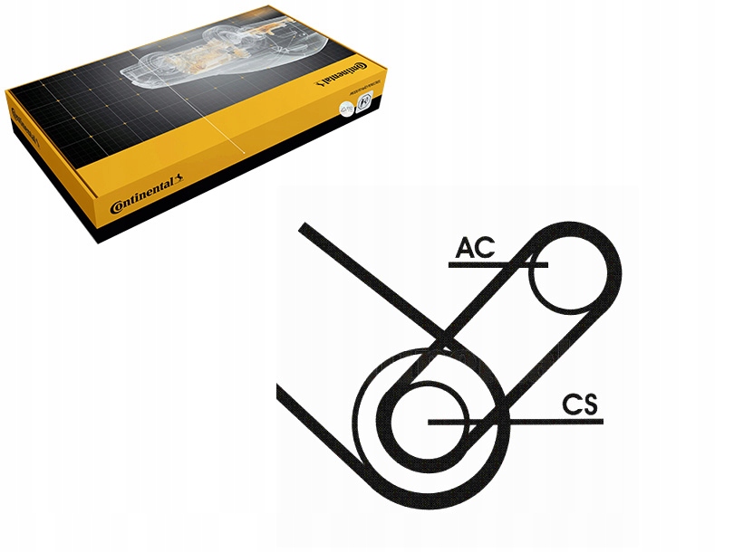 PASEK KLINOWY FIAT DOBLO DOBLO MINIVAN 1.6 1.6CNG 10.01- CONTINENTAL