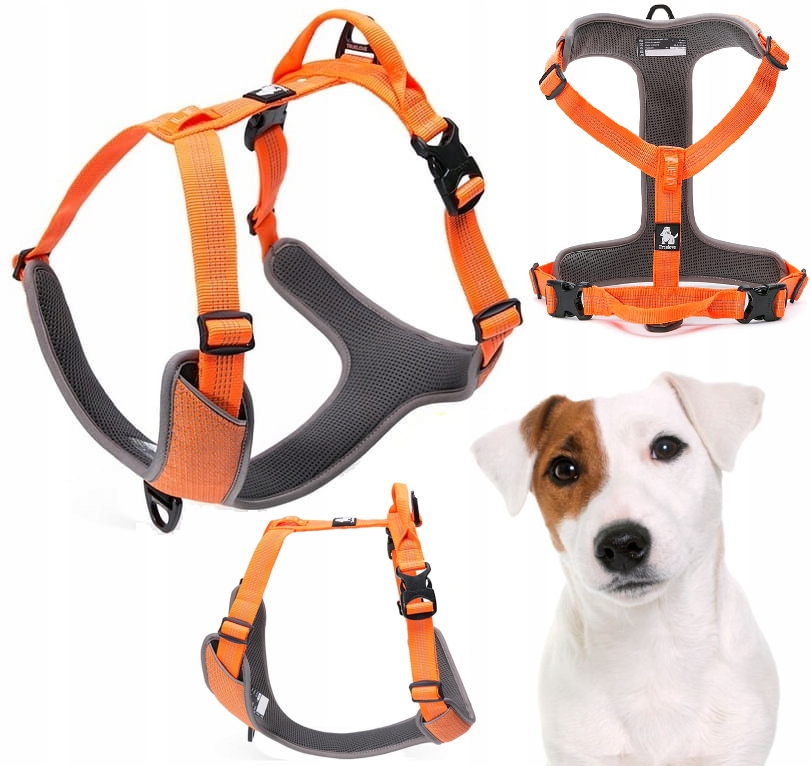 Szelki Dla Psa Odblaskowe Guard Easy Walk Truelove Lumen Pomarańczowe S