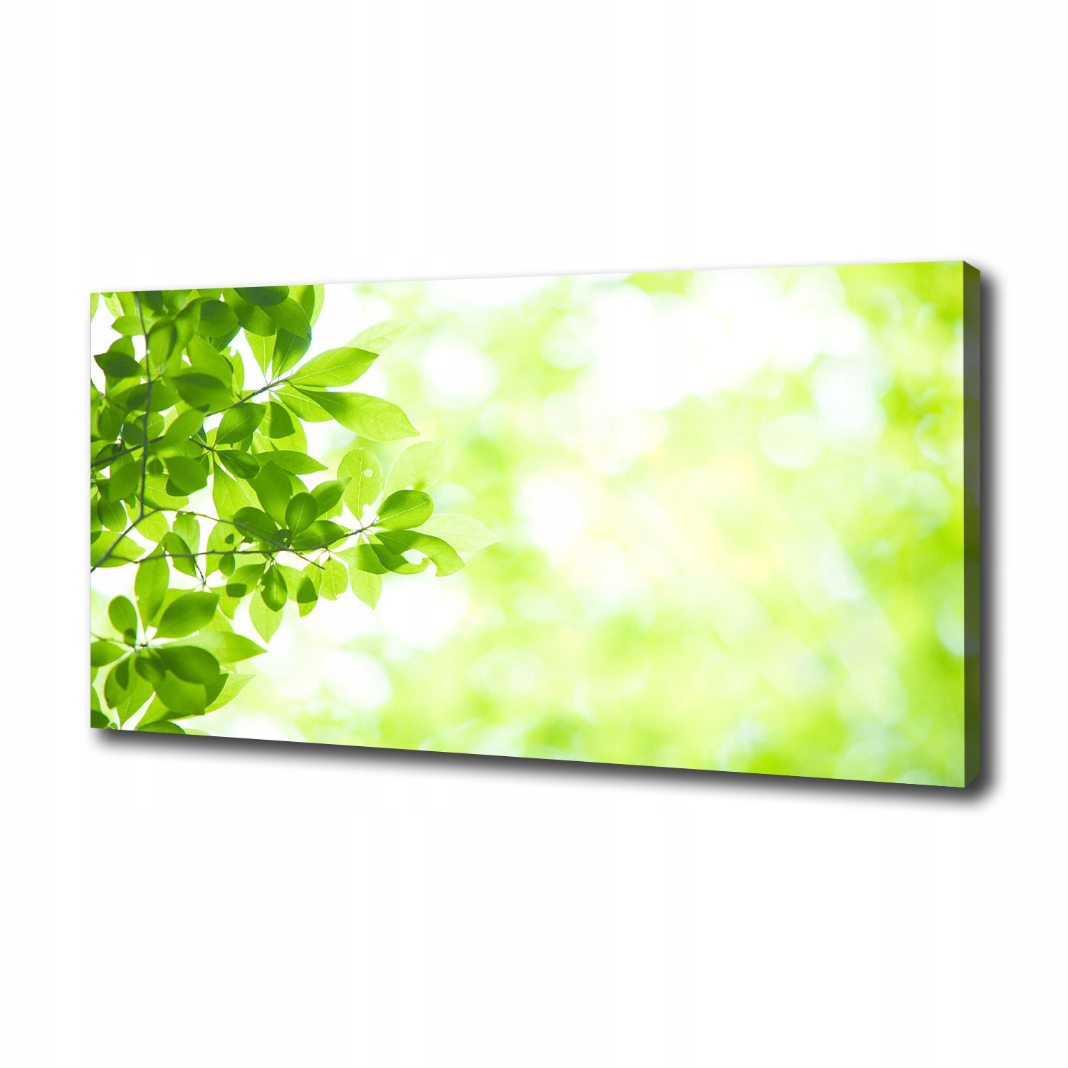 

Duży foto obraz na ścianę canvas Liście 100x50 cm