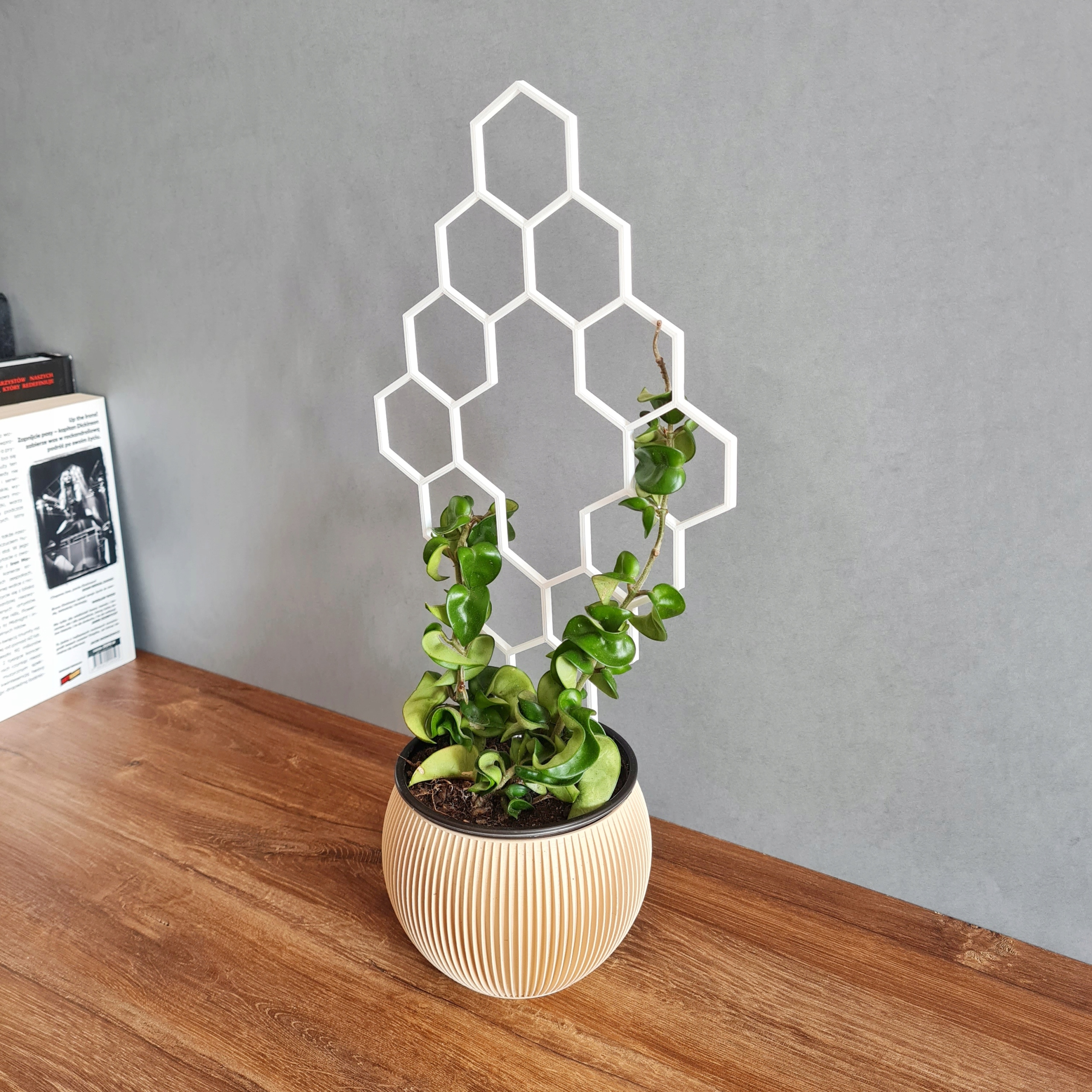 PODPÓRKA DO KWIATÓW DRABINKA PERGOLA BIAŁA 37 cm Marka BB3Design