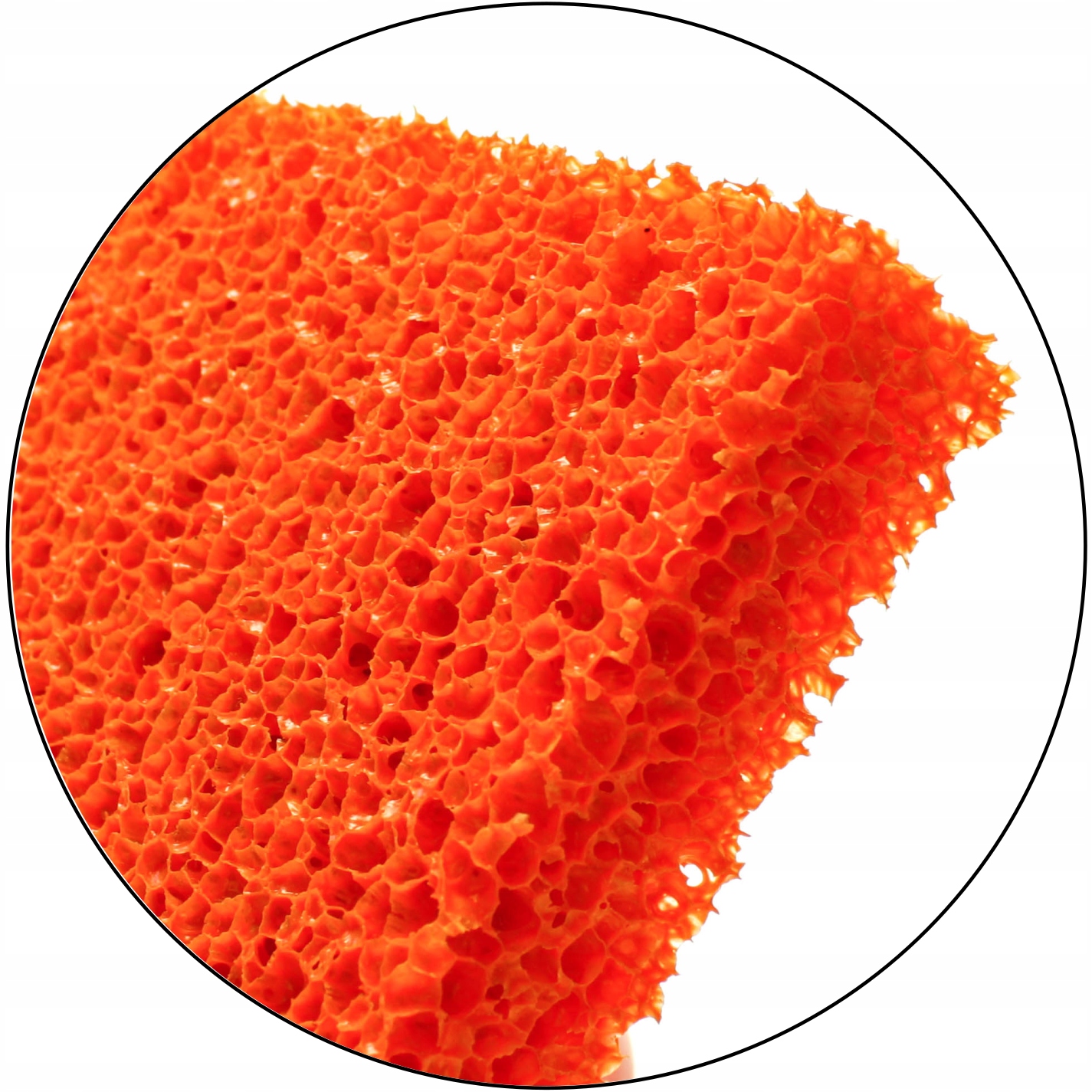 SOLID PACA DO ZACIERANIA GIPSU GŁADZI TYNKU GUMOWA Typ paca