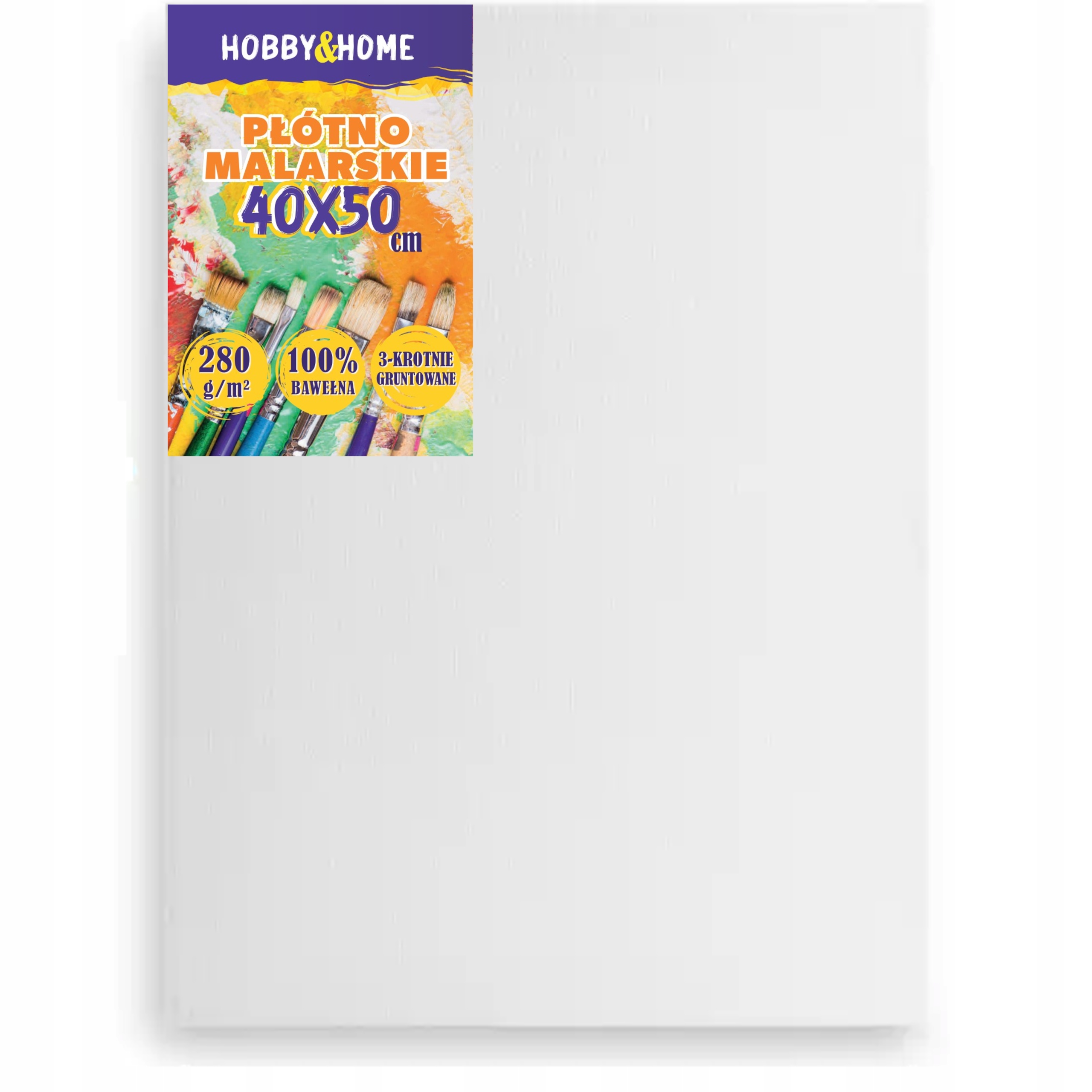 Холст картины для живописи профессиональный подобласти большой 40x50 см