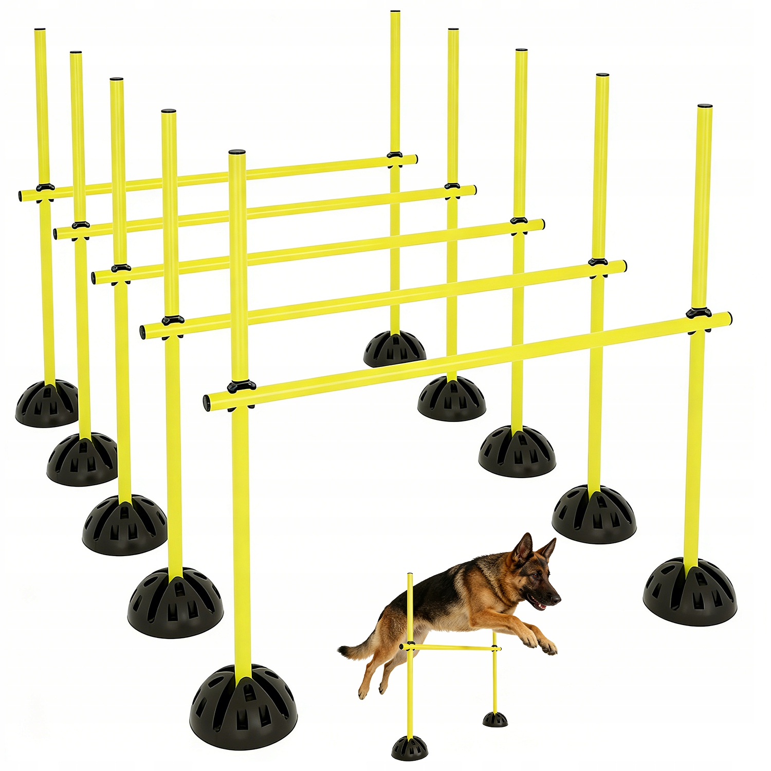 Przeszkody Treningowe Agility Dla Psa I Sportowca 10 Podstaw 15 Drążków