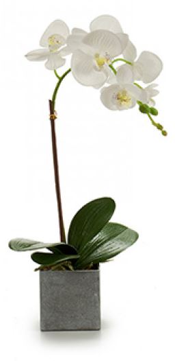

Storczyk sztuczne kwiaty Orchidea 43 cm Hiszpania