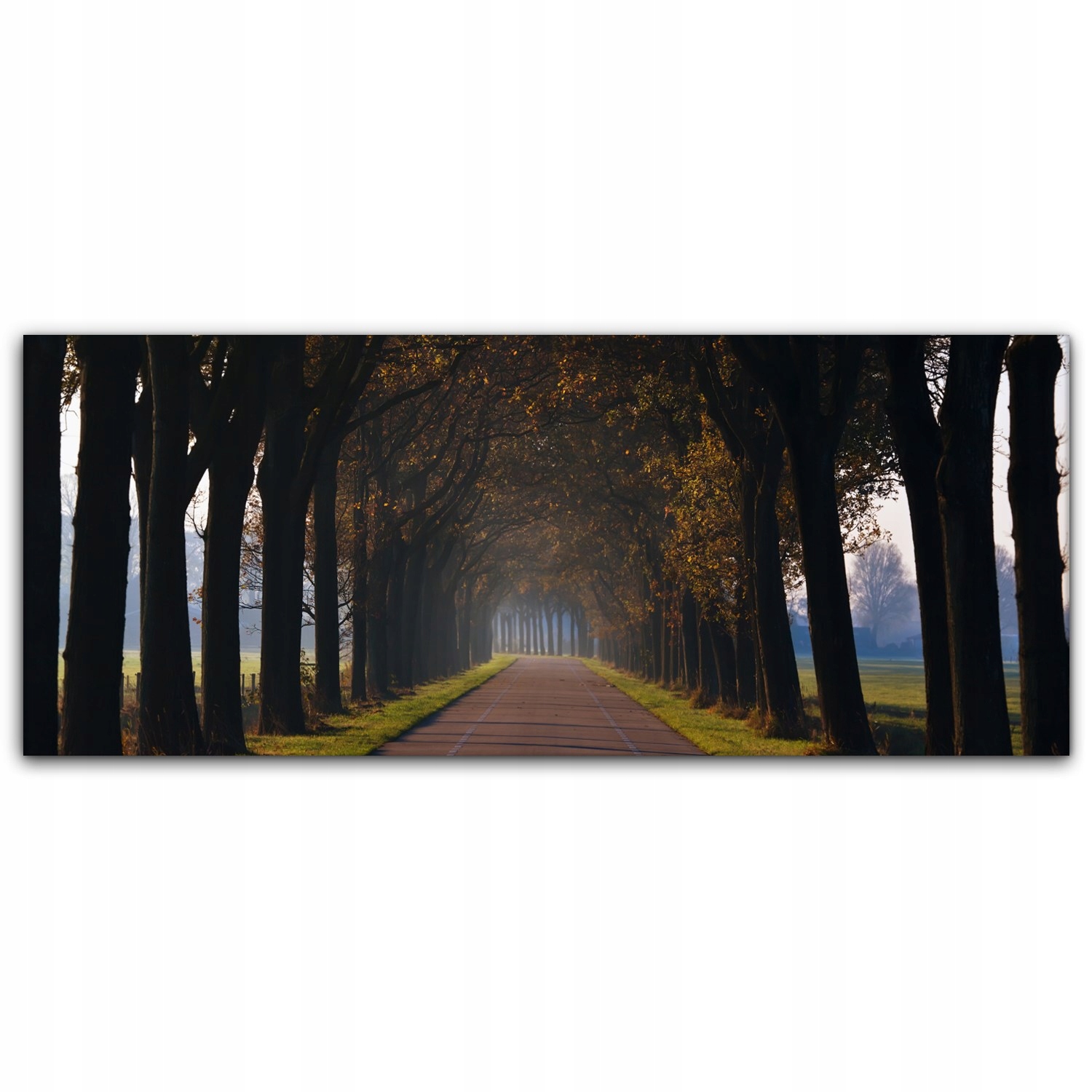 

Obraz canvas na ścianę 125x50 Tunel Droga Drzewa