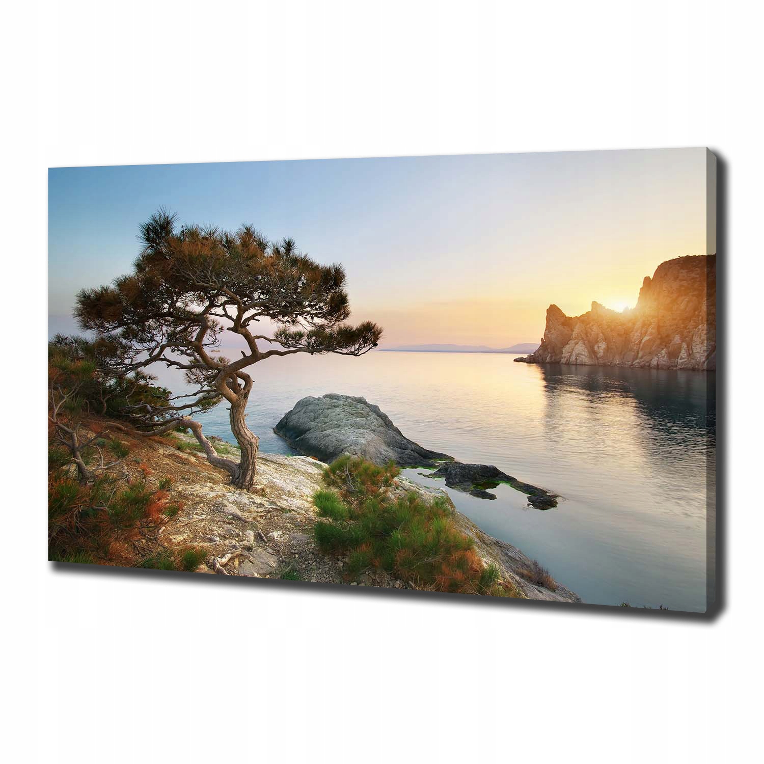 

Foto obraz na płótnie Drzewo nad morzem 100x70 cm