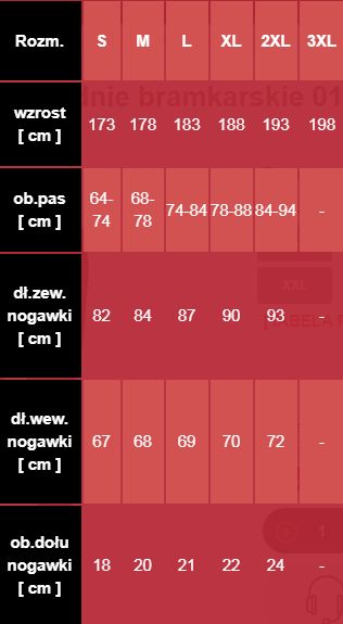 Nike Gardien spodnie bramkarskie 010 S 173 cm Rozmiar S