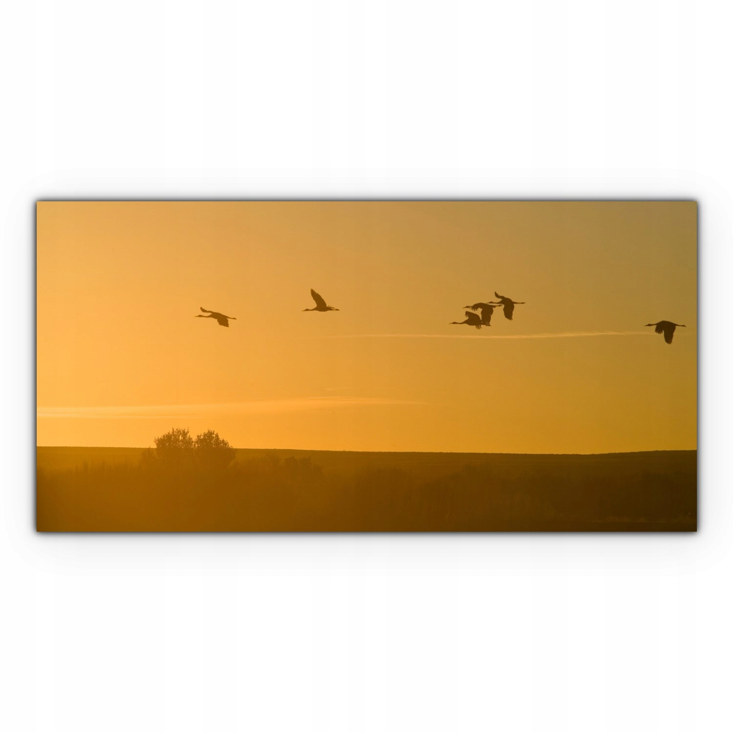 

Fotoobraz na płótnie 120x60 Dźwigi Zachód Słońca