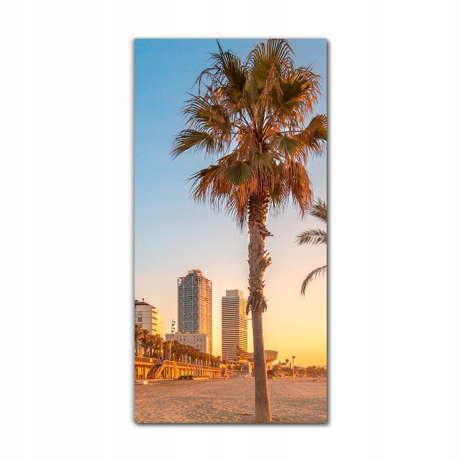 

Foto-obraz do sypialni 70x140 cm Palmy Barcelona