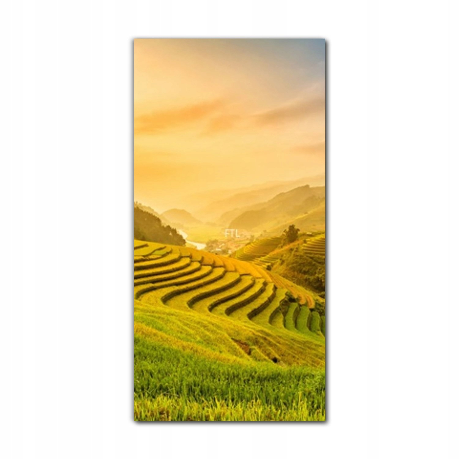 

Foto-obraz do sypialni 70x140 Pola ryżowe Wietnam