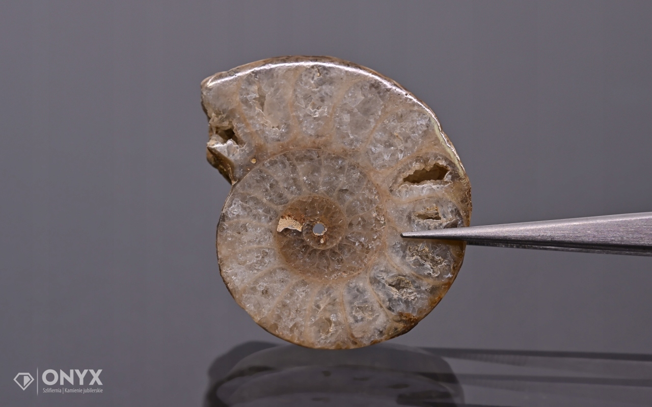 Amonit z Madagaskaru nepravidelný 34x28 mm