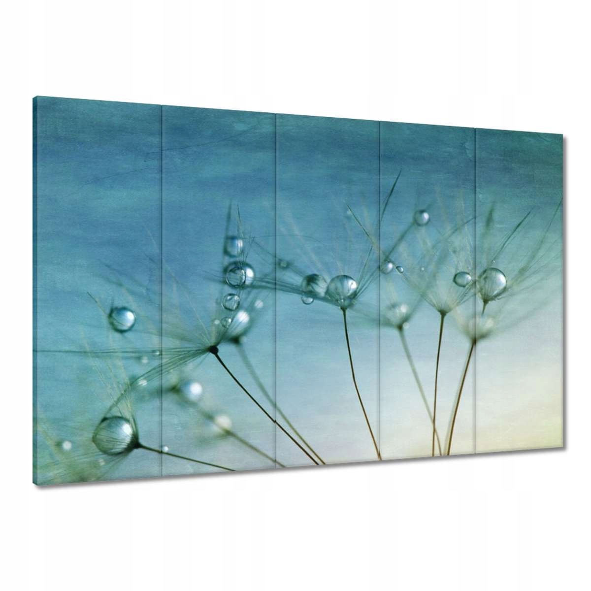 Obrazy 100x70 Pampeliška Květ Květiny