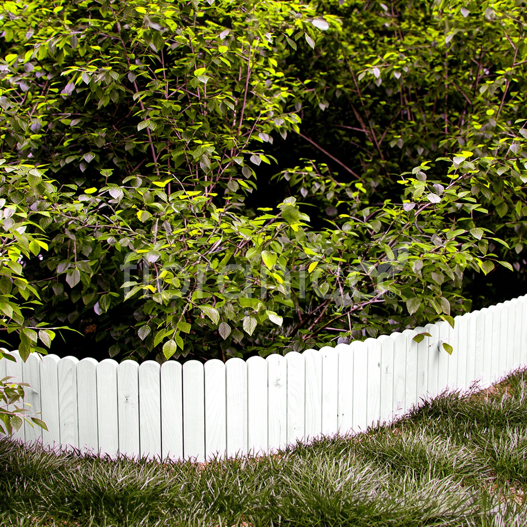 Rollborder 40x203cm płot drewniany biały Kolor biały