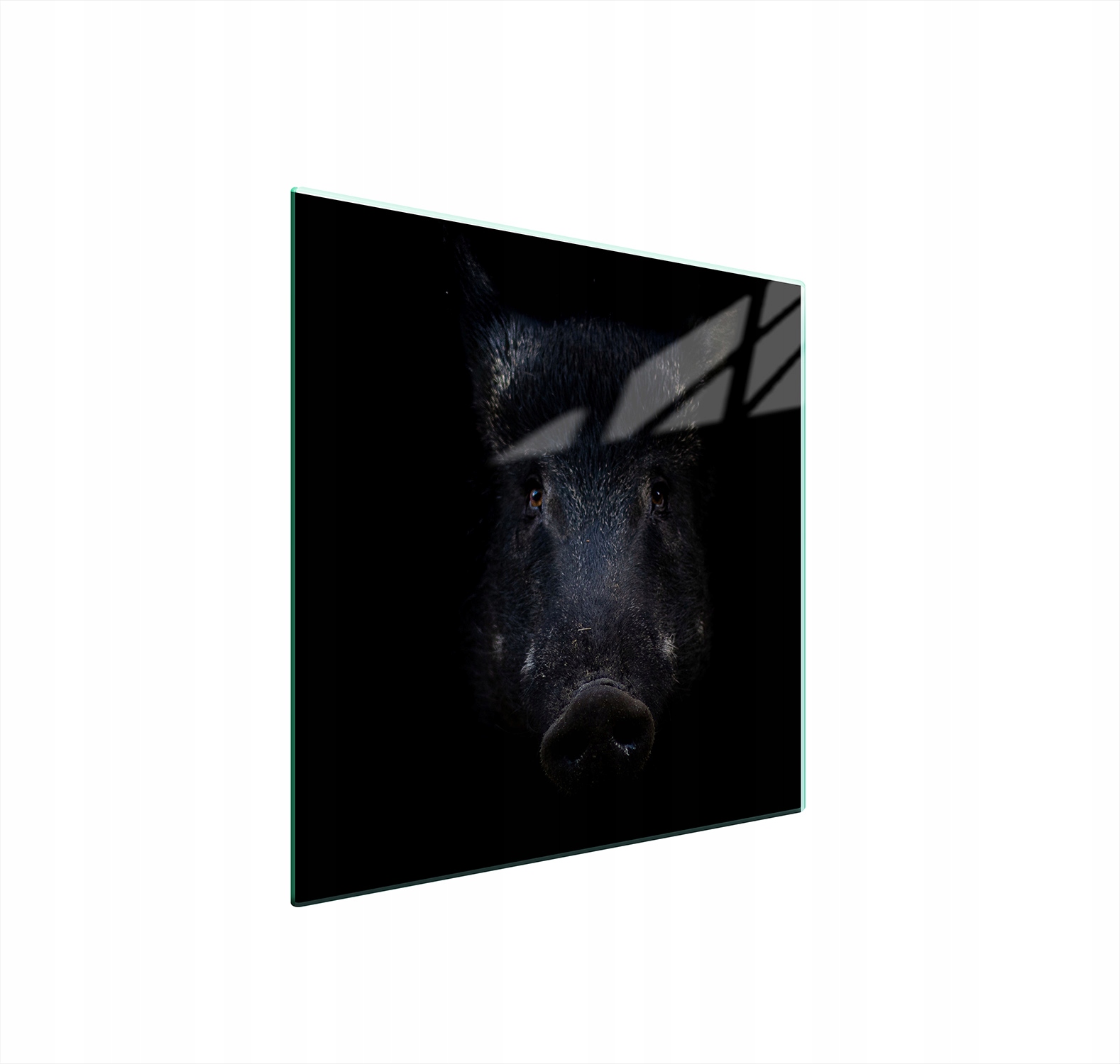 Skleněná Ochranná Deska Na Sporák 50x52 Divoké Tvrzené Sklo