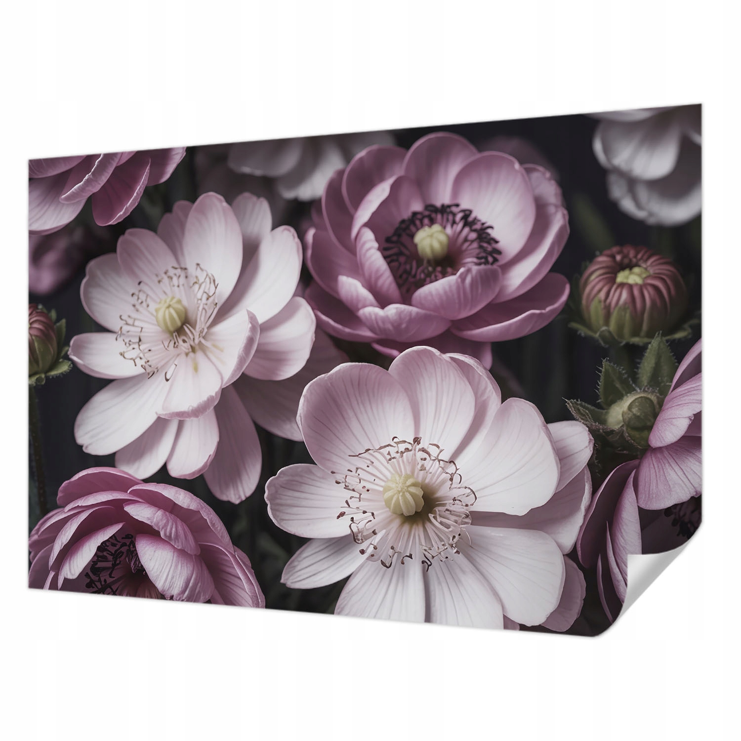 Samolepicí fototapeta do každého interiéru Květinová elegance 152 x 104 cm