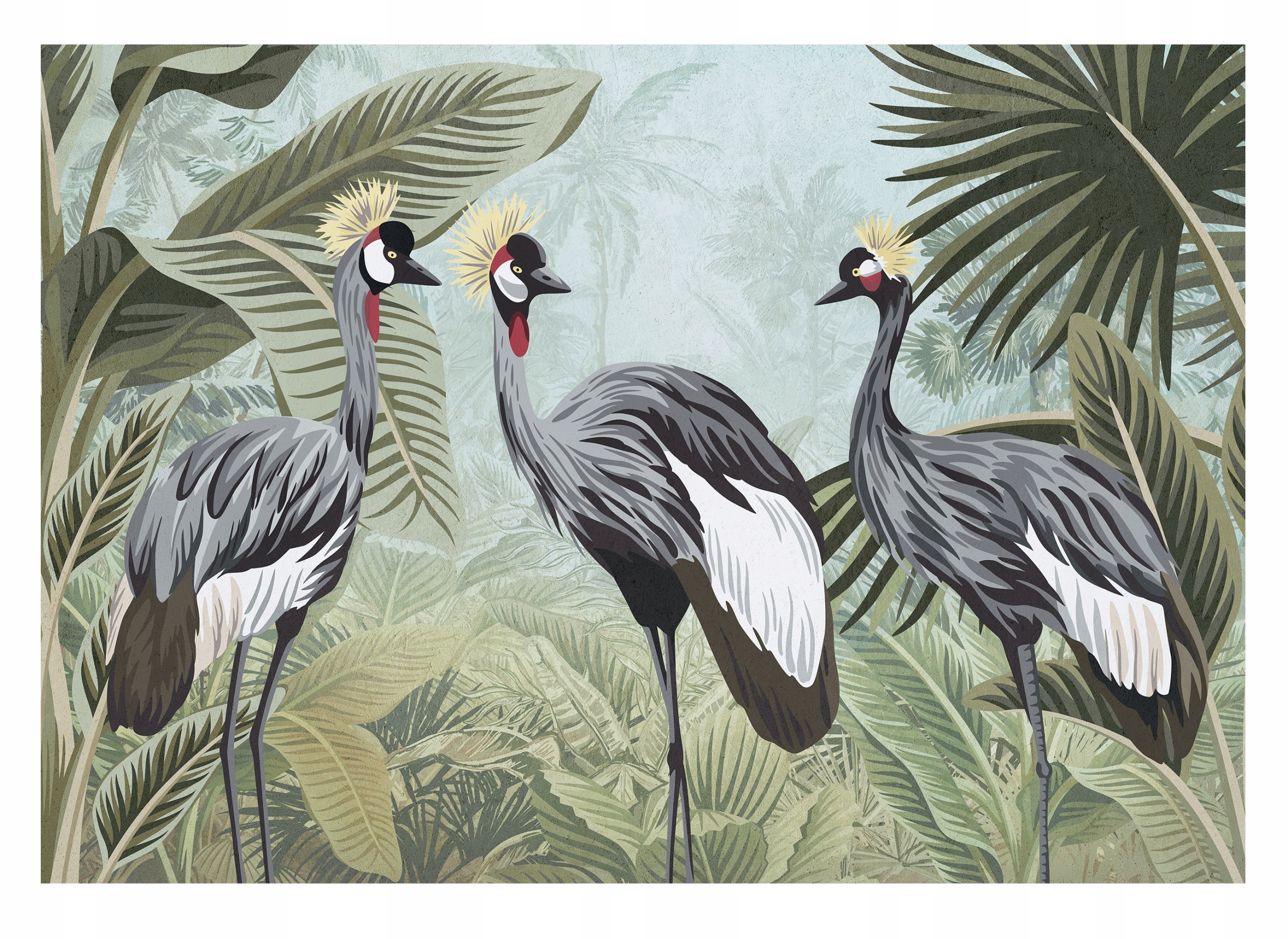 Fototapeta Jeřábi Ptáci Džungle Příroda 208x146