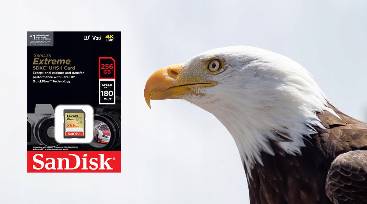 Karta pamięci SANDISK Extreme SDXC 256GB Klasy prędkości U3