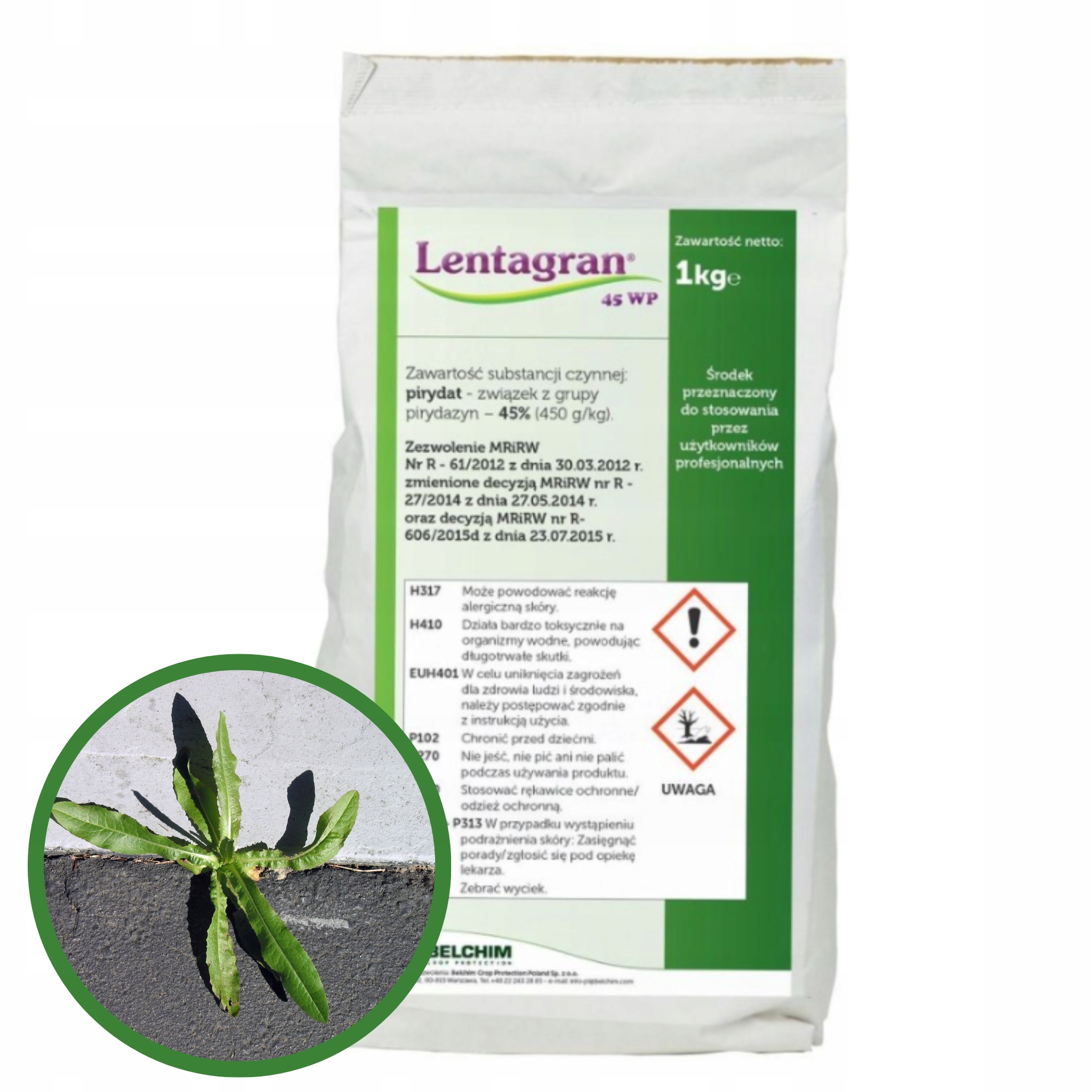 Lentagran 45 Wp 1kg zwalcza chwasty w cebuli herbicyd gwiazdnica rdest