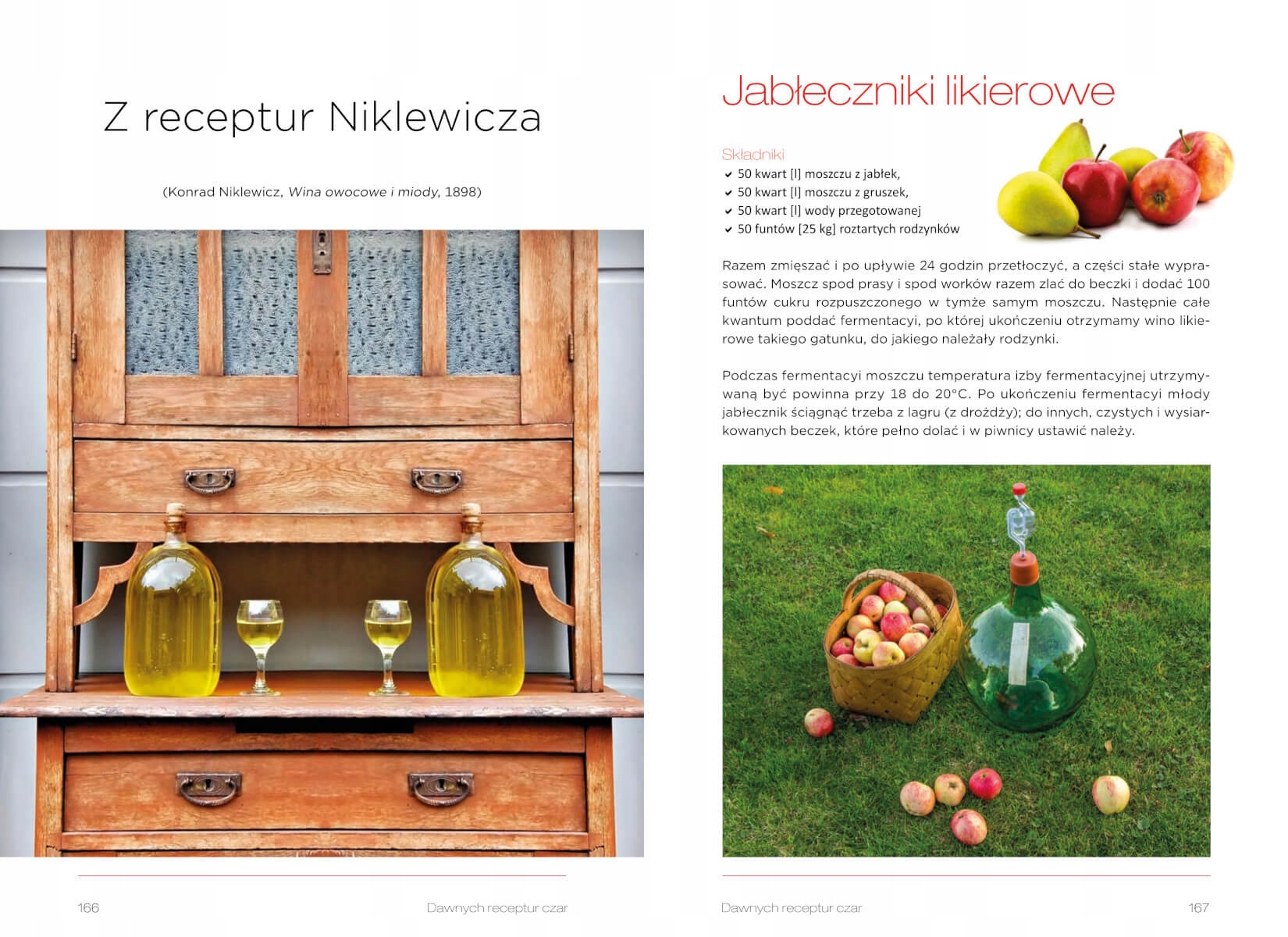 WINA DOMOWE KSIĄŻKA PORADNIK PONAD 100 PRZEPISÓW Okładka twarda