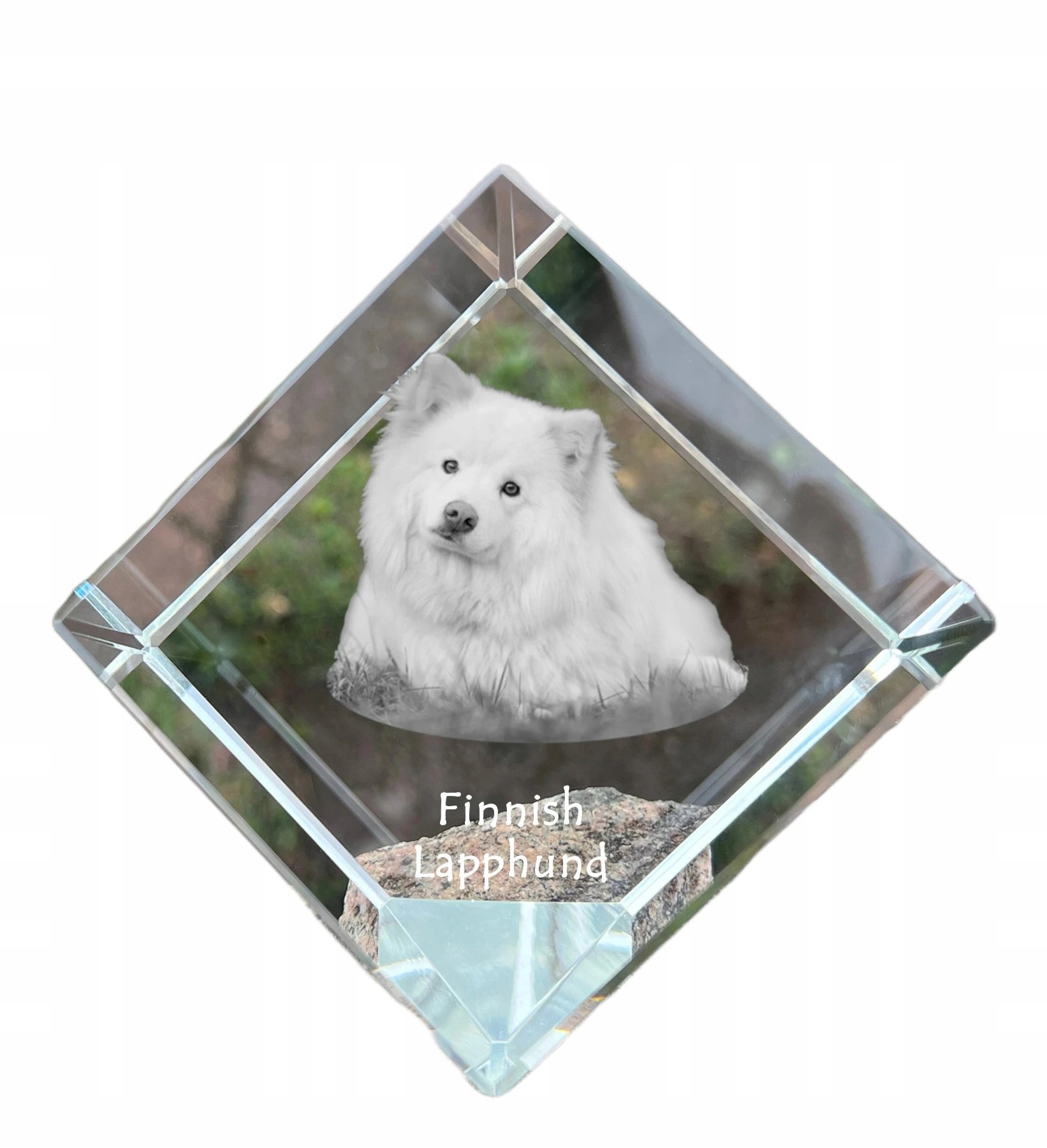 Fínska lapphundová krištáľová kocka s fotografiou psa, ozdoba na stôl