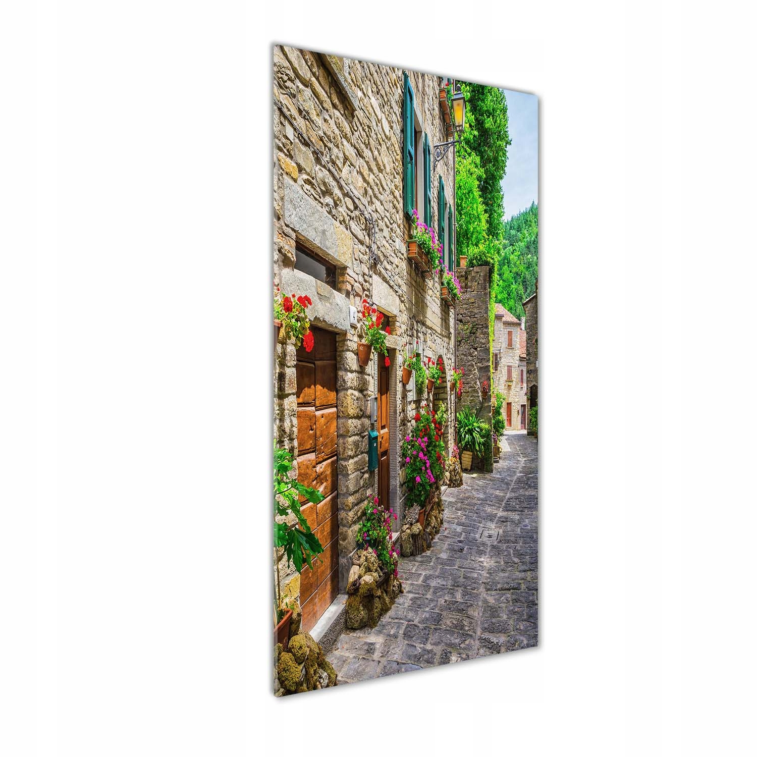 

Foto obraz szklany pionowy Urokliwa uliczka 50x125