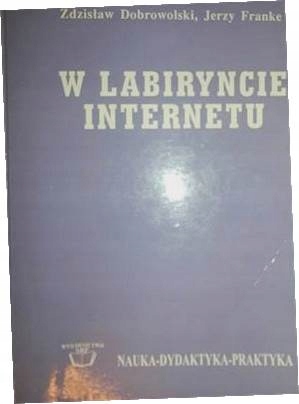 W labiryncie internetu - Zdzisław Dobrowolski