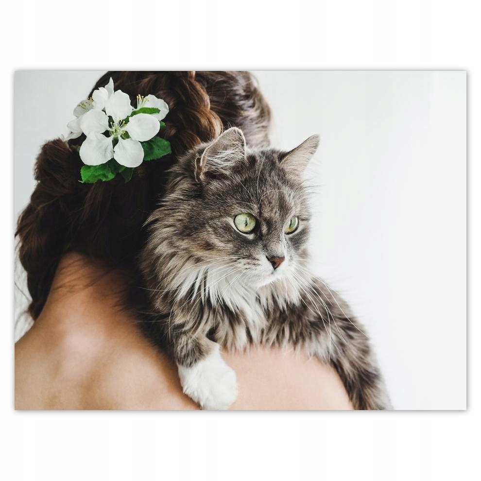 

Plakat 40x30 Kot Kotek Koty Kicia