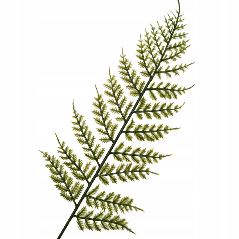 PAPROĆ SZTUCZNA LIŚĆ PAPROCI GAŁĄZKA NA STROIK Kolor zielony
