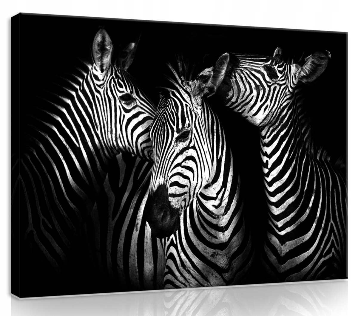 Obraz Na Plátně Canvas 100x75 Zebra Zebry Stado