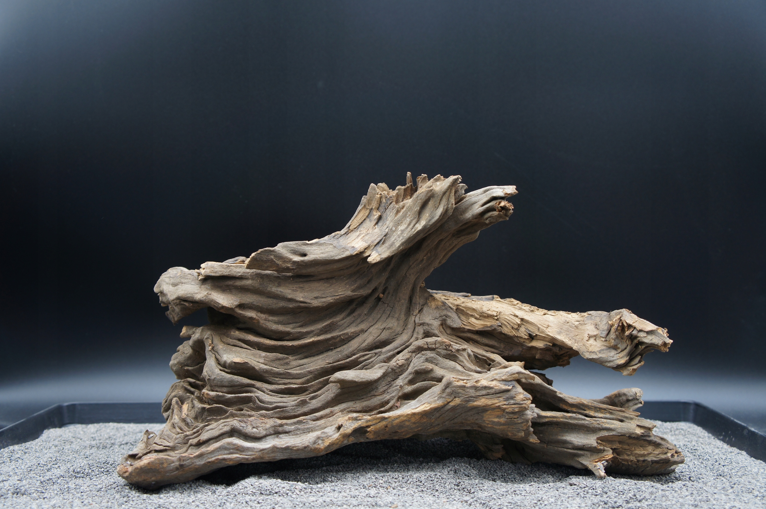 Levně Kořen pro terarijní akvárium Jagged wood 37 cm Ten, Který Je Na Obrázku (J40)