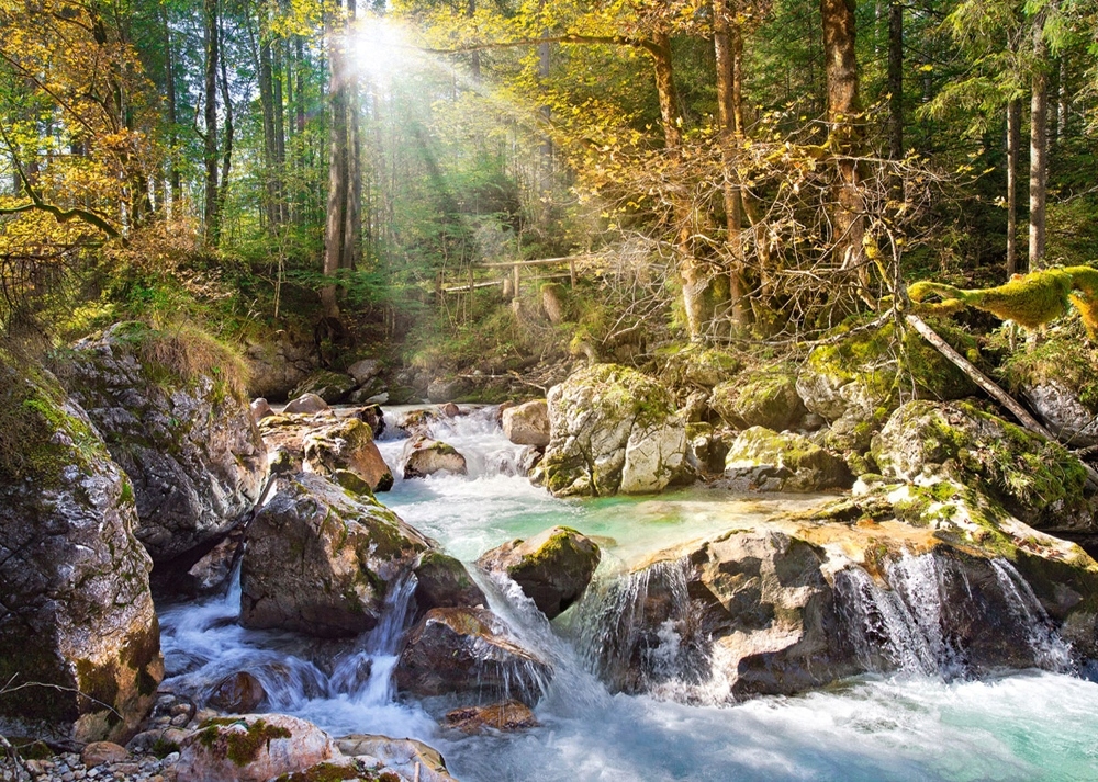 

Puzzle Układanka Góry Rzeka Potok Las 2000 Castor