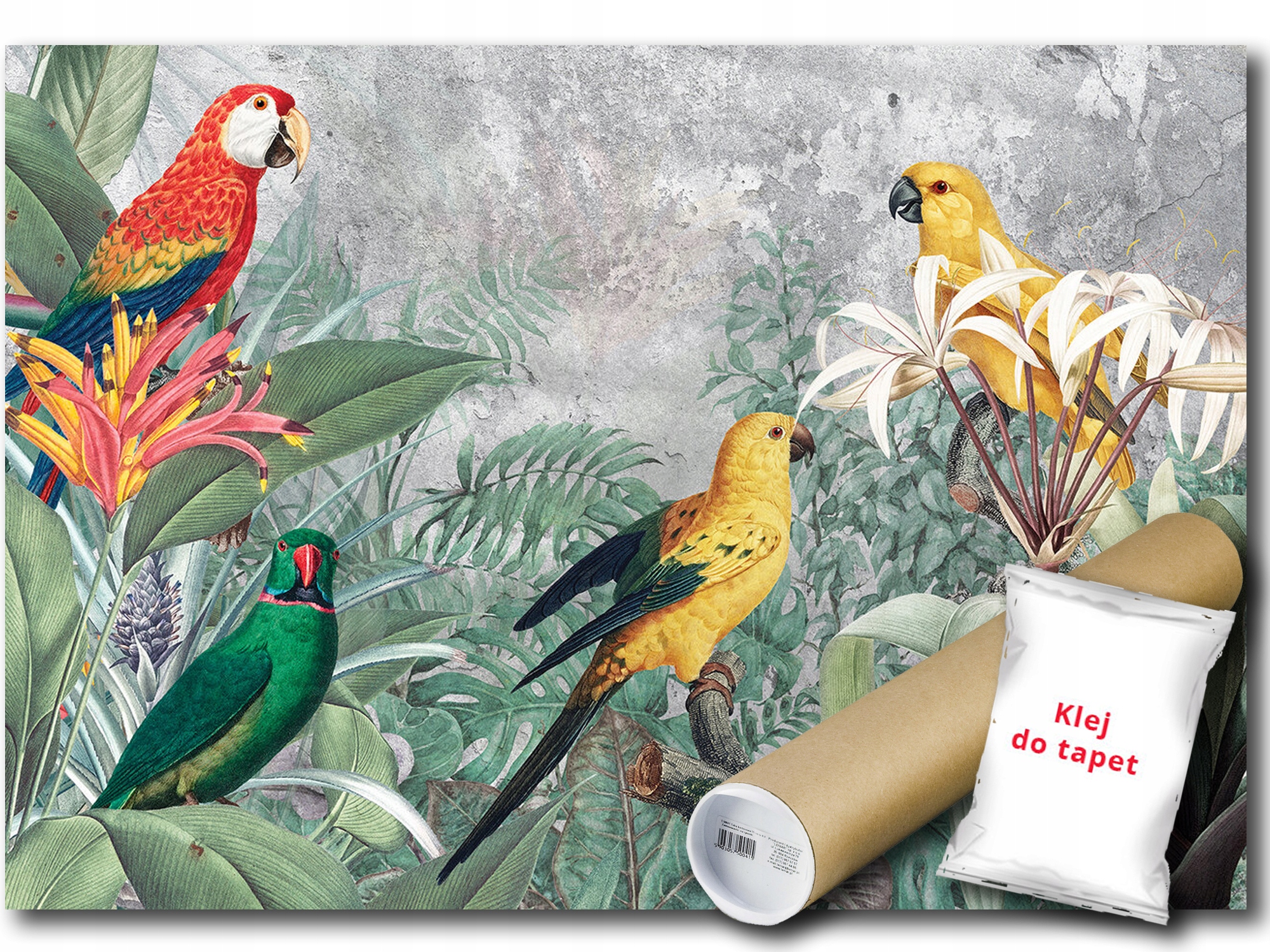 Vinylová Fototapeta Ptáci Papoušci Kresba Beton Stěna Zeď Imitace 416x290
