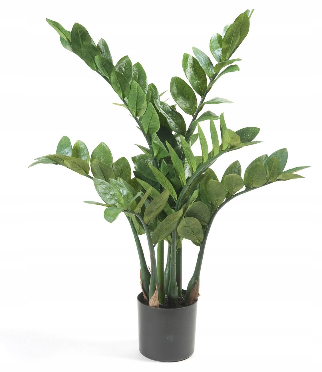 

efektowny sztuczny Zamioculcas 70 zamia jak żywa!